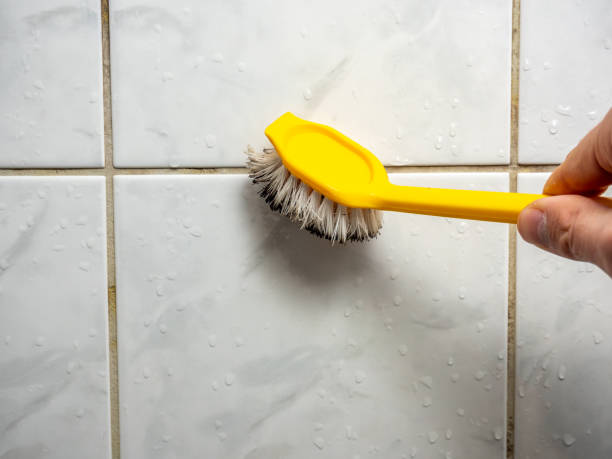 Best Office Mold Removal Services  in Weidman, MI