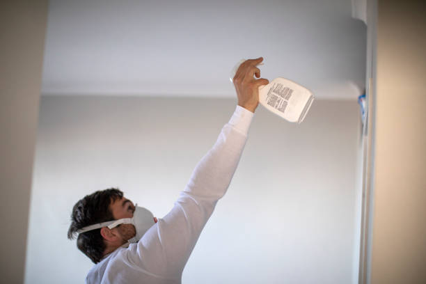 Best Best Mold Removal Companies  in Weidman, MI
