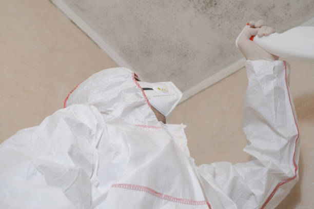 Best Water Damage Restoration  in Weidman, MI
