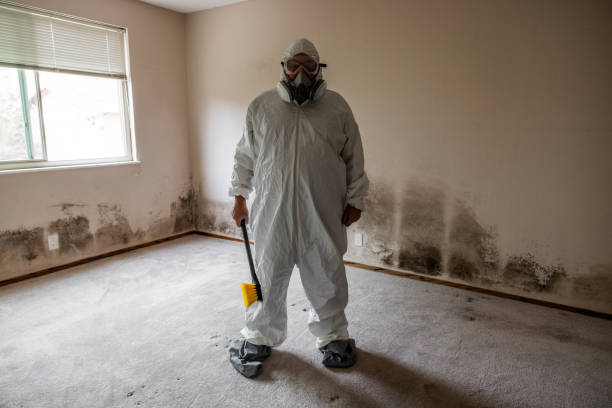 Best Mold Testing  in Weidman, MI